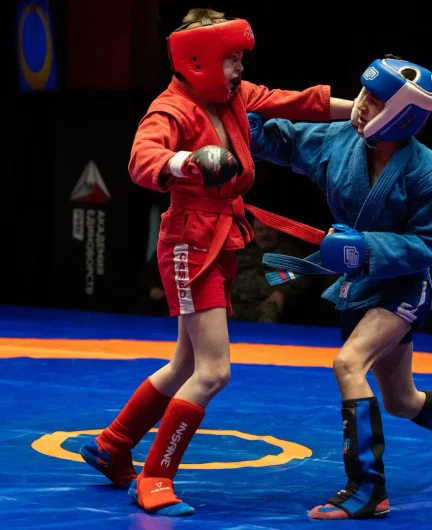 52db926e-0ebb-49ad-9929-ab6c0adda529-самбо3.webp